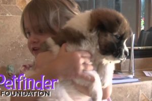 The Animal Rescue Site:  Petfinder Foundation Wonderfunder