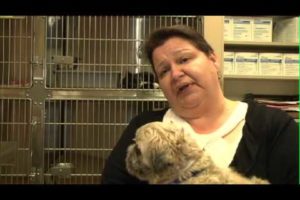 The North Shore Animal League America Rescues Innocent Animals and finds them a New Home