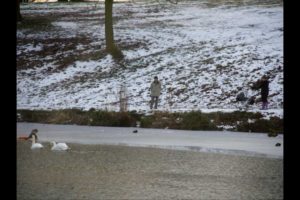 The great dog rescue. Madness but a happy ending. Film + Pics