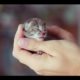 Top 10 Cute Kitten Videos Compilation - Cute Kitten - Cutest Kittens - Kitten
