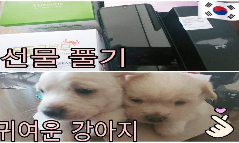 UNBOXING CHINESE NEW YEAR'S GIFTS|CUTE PUPPIES