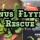 Venus Flytrap “Death Cube” Rescue - How to Repot and save this Flytrap