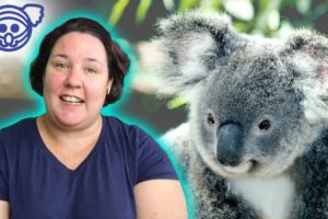 We ? Koalas! ? Fiberific donating 10% of sales to Animal Rescue Collective for Australian Wildlife