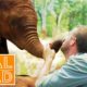 Welcome To The World Of Extraordinary Animals! | Real Wild Documentary