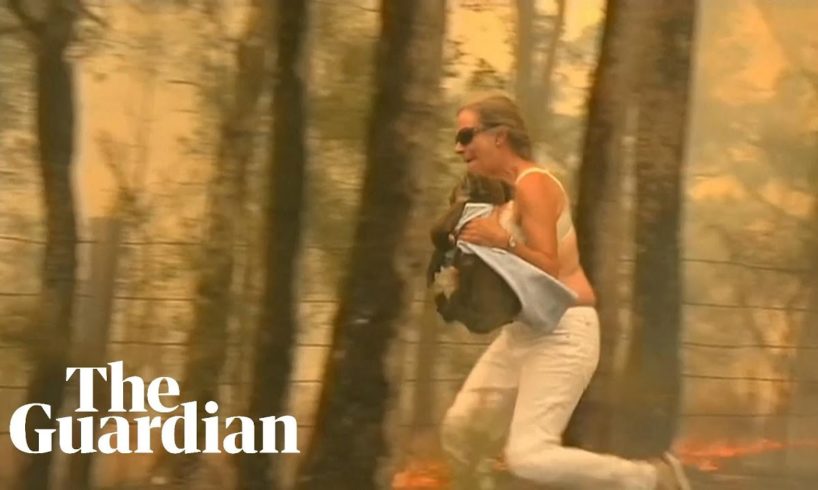 Woman rescues koala from bushfire in New South Wales