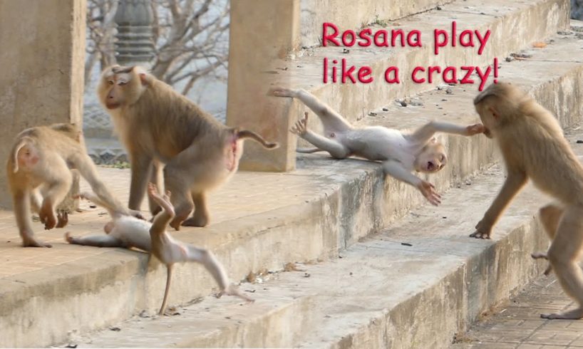 Wonder about Rosana when she played with Rocky, she always played like crazy to her brother- Part449