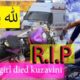 elina biker RIP (A girl died kuzavini) Елена Kuzavini (توفيت الاوكرانيةعلى bmw s1000 rr)