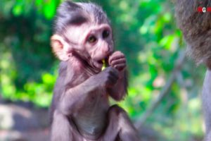 little baby was playing together, fighting and was very tired. baby very hungry run to for food for