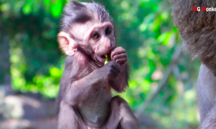 little baby was playing together, fighting and was very tired. baby very hungry run to for food for