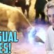 xQc Reacts to UNUSUAL MEMES COMPILATION V67