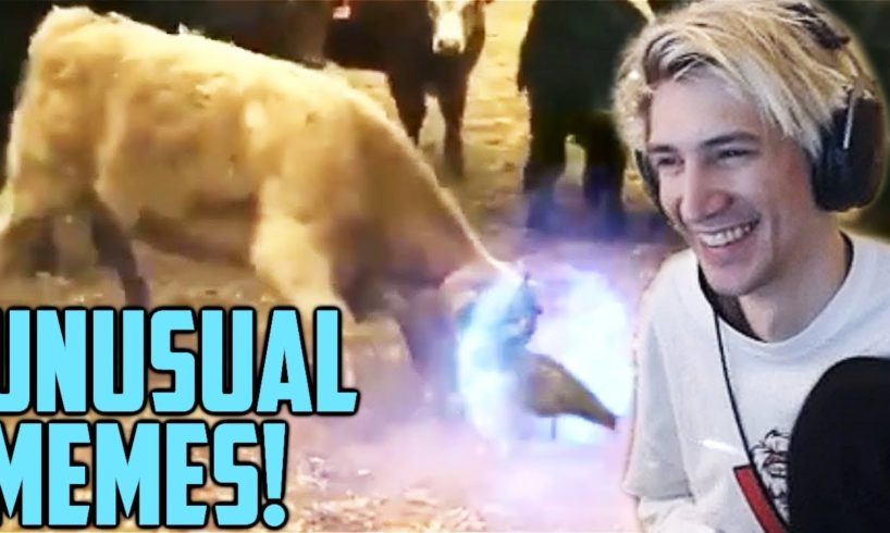 xQc Reacts to UNUSUAL MEMES COMPILATION V67