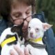 130 rescued animals need homes