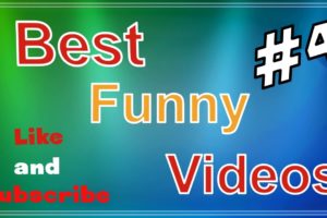 Funny Videos Compilation! Best Fails and Animals of The Week! TRY NOT TO LAUGH!  FunnyBestVideos2020