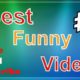 Funny Videos Compilation! Best Fails and Animals of The Week! TRY NOT TO LAUGH!  FunnyBestVideos2020