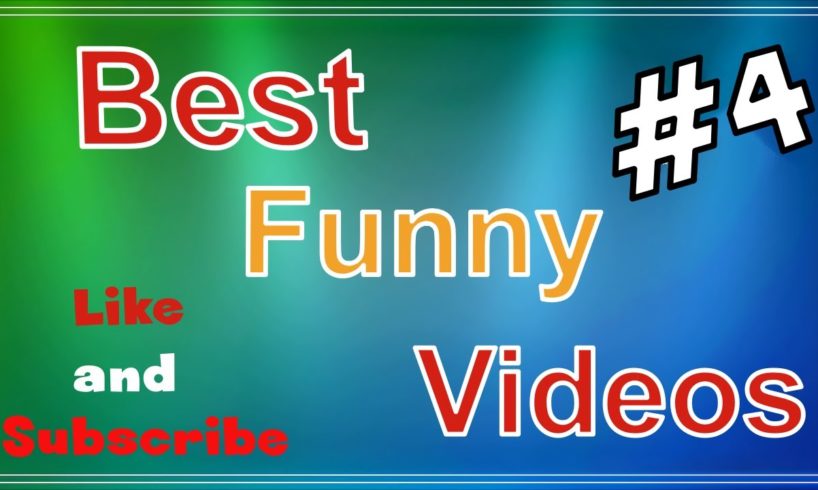 Funny Videos Compilation! Best Fails and Animals of The Week! TRY NOT TO LAUGH!  FunnyBestVideos2020