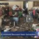 51 Animals, Including Chickens, Goats And Horse Rescued From ‘Deplorable’ Hoarder’s Home