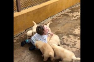 (AWW!!) LITTLE BOY SMOTHERED IN PUPPY LOVE ❤️♥️