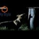 Animal Fight Hindi Documentary p1