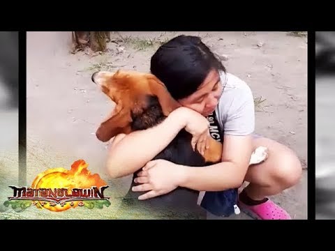 Animal Rescue Stories | Matanglawin