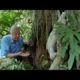 Attenborough: Saying Boo to a Sloth! | BBC Earth