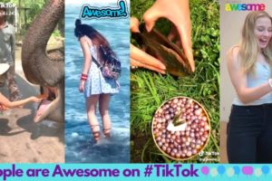 Awesome Tik Tok Videos | People are Awesome on Tik Tok | EP18 | Lovely Life Vines