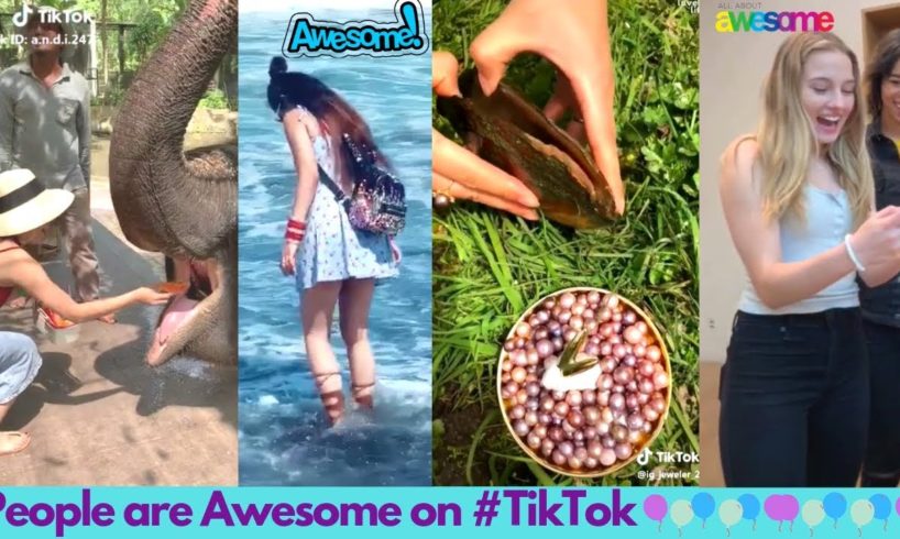 Awesome Tik Tok Videos | People are Awesome on Tik Tok | EP18 | Lovely Life Vines