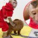 Baby Monkey | Reaction DouDou Playing With Benly