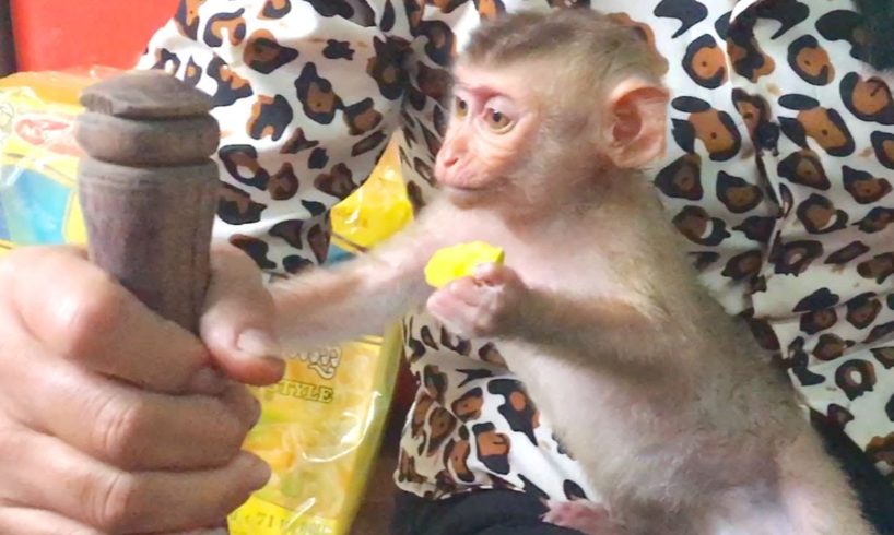 Baby Monkey Zono Want To Help Grandma Cook, She Hold Leg Baby Monkey Zono Cause He Play Much