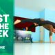 Best of the Week: Adaptive Skills, Trickshots & More | People Are Awesome