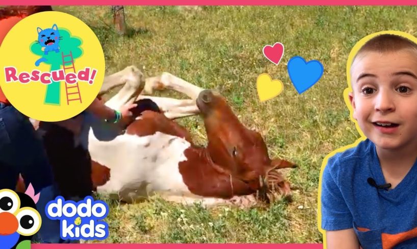Brave Rescuers Save Trapped Wild Horse | Animal Videos For Kids | Dodo Kids
