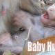 Cutest Baby animal trying To learn Toddler Walking, Newly Monkey Need Milk and Sleeping