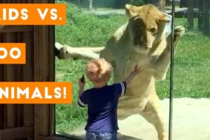 Cutest Kids VS Zoo Animals Ultimate Funny Compilation 2018 | Funny Pet Videos