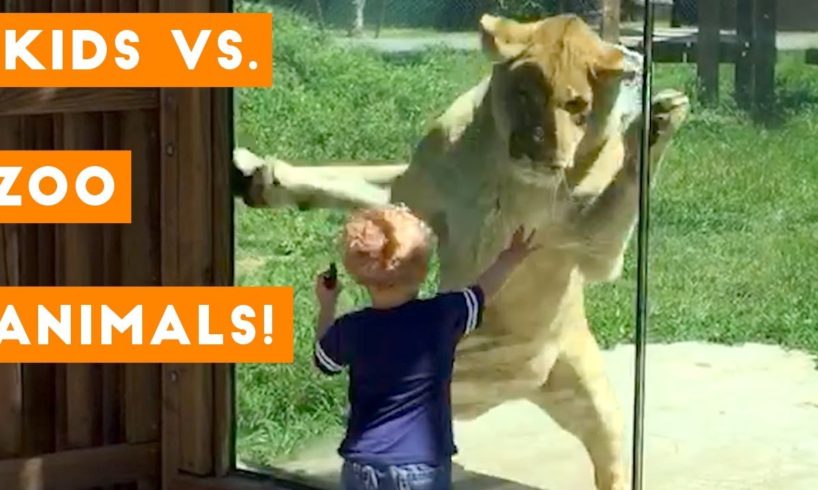 Cutest Kids VS Zoo Animals Ultimate Funny Compilation 2018 | Funny Pet Videos