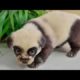 Cutest Puppies And Baby Animals Baby Animals | Funny Pet Animals Life | Cutest Puppies PILIBHIT City