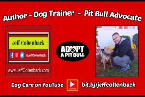 Dog Training, Dog Care, Dog Health, Dog Rescue; Welcome to my Channel!