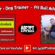 Dog Training, Dog Care, Dog Health, Dog Rescue; Welcome to my Channel!
