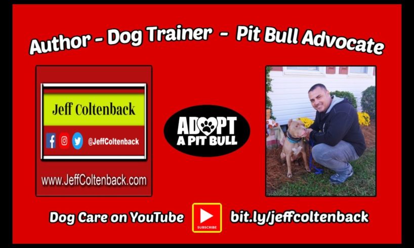 Dog Training, Dog Care, Dog Health, Dog Rescue; Welcome to my Channel!