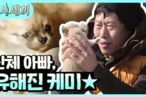 (ENG/SPA/IND) [#ThreeMealsaDay] The Cutest Puppy Video We Just Have to Share♥ | #Mix_Clip | #Diggle