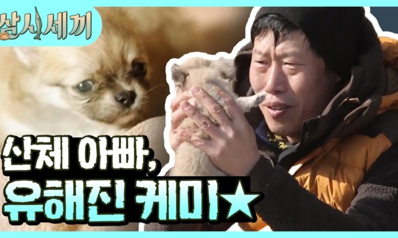 (ENG/SPA/IND) [#ThreeMealsaDay] The Cutest Puppy Video We Just Have to Share♥ | #Mix_Clip | #Diggle