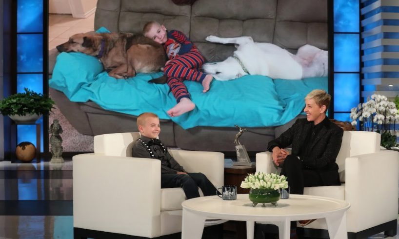 Ellen Welcomes Delightful Kid Dog Rescuer Roman McConn