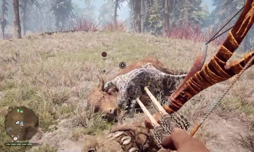 FAR CRY PRIMAL ANIMAL FIGHTS OF THE START OF SEPTEMBER!