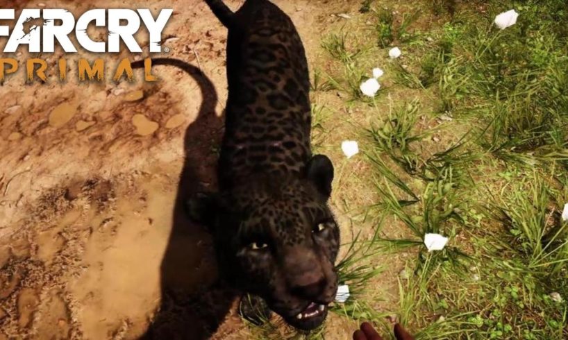 FAR CRY PRIMAL - Rare Black Jaguar Animal Fight Compilation (PS4) HD