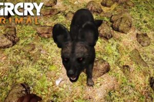 FAR CRY PRIMAL - Rare Dhole Animal Fight Compilation (PS4) HD