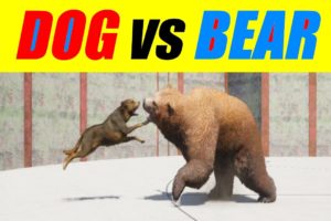 Far Cry 5 Arcade - Animal Fight: Dog vs Bear Battles (Custom Map Editor)