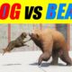 Far Cry 5 Arcade - Animal Fight: Dog vs Bear Battles (Custom Map Editor)