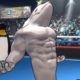 Fight of Animals【Muscle Beluga】