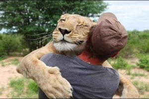 Friendly Animals Hugging Humans