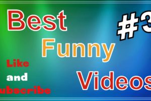 Funny Videos Compilation! Best Fails and Animals of The Week! TRY NOT TO LAUGH!  FunnyBestVideos2020