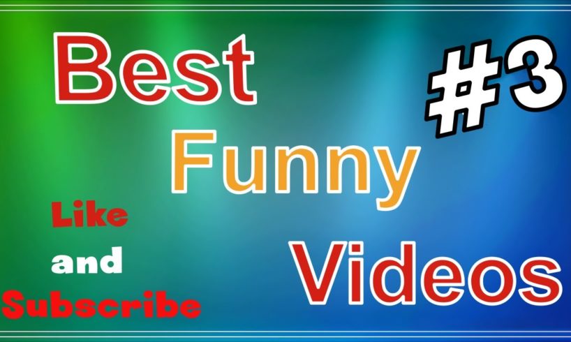 Funny Videos Compilation! Best Fails and Animals of The Week! TRY NOT TO LAUGH!  FunnyBestVideos2020