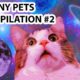 Funny pets play the games #2 | Cute animals